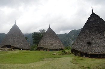 Eco tour Flores island to see special interest in Flores Indonesia